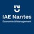 IEMN-IAE logo