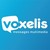 VOXELIS logo