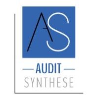 AUDIT SYNTHESE logo