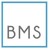 Bull Market Securities logo