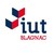 IUT de Blagnac logo