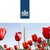 Embassy of the Kingdom of the Netherlands in the USA logo