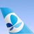 French bee logo