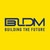 BLDM, LLC logo