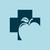 MediSmart Costa Rica logo