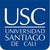 Universidad Santiago de Cali logo