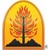 Wildfire Defense Systems, Inc. logo
