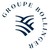 GROUPE BOLLINGER logo