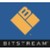 Logo de Bitstream