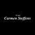Grupo Carmen Steffens logo