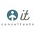 IT CONSULTANTS logo