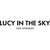 LUCY IN THE SKY INC logo