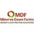 MDF - Minerva Dawn Farms logo