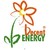 Decent Energy, Inc. logo