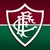 Fluminense Football Club logo