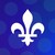Ministère de la Sécurité intérieure (MSI) logo