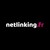 netlinking.fr logo