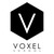 Voxel School logo