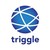 triggle logo