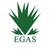 Egyptian Natural Gas Holding Company (EGAS) logo