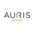 Auris Gestion logo