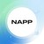 Napp Solutions logo