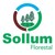 Logo di Sollum Florestal