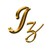 Intelizest logo