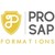pro sap formations logo