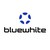 Bluewhite (Acquired by Elbit) Logo