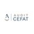 AUDIT CEFAT - Copilote financier des dirigeants de PME logo