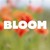 Bloom logo