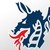 Drugovich Auto Peças logo