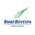 BM&FBOVESPA logo