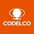 CODELCO – Corporación Nacional del Cobre de Chile logo
