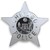 Chicago Police Department logo