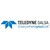 Teledyne DALSA logo