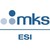 ESI an MKS Brand logo