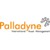 Palladyne International Asset Management logo