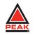 Logo di PEAK Technical Staffing USA
