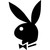 Playboy logo