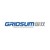 Gridsum Holding Inc. logo