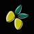 Entier Limited logo