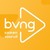 BVNG logo