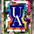The University of Akron Logo