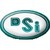 DSI - General Directorate of State Hydraulic Works logo