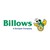 Billows Electric Supply logo