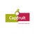 Capfruit officiel logo