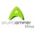Elinsa logo