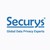 Securys Limited logo